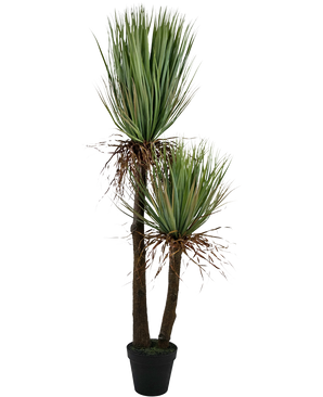 Künstliche Yucca Deluxe 153 cm