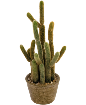 Künstlicher Kaktus Cereus 35 cm