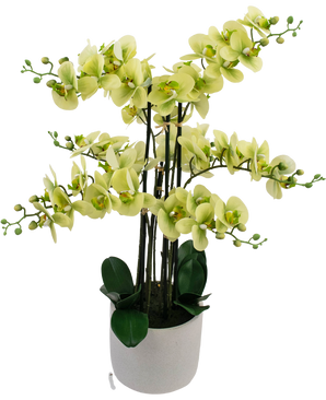 Künstliche Orchidee Real Touch 81 cm grün