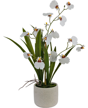 Künstliche Oncidium Real Touch 48 cm weiß