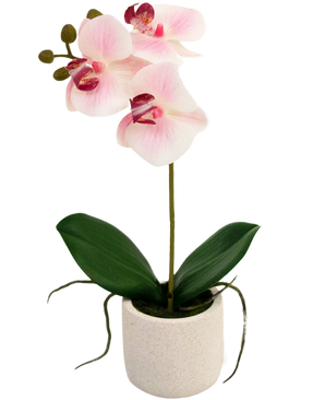 Künstliche Orchidee Real Touch 30 cm rosa/weiß