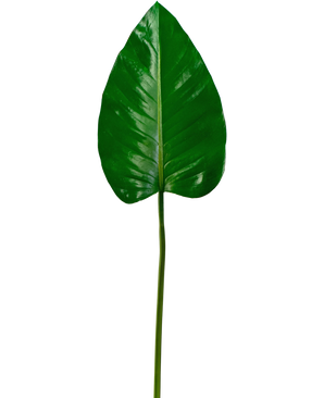 Künstliches Blatt Alocasia 78cm