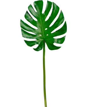 Künstliches Blatt Monstera 88cm