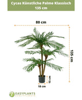 Cycas Palmetto Classic 135 cm