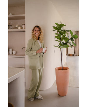 Ficus-Tabak-Pflanze Deluxe 155 cm