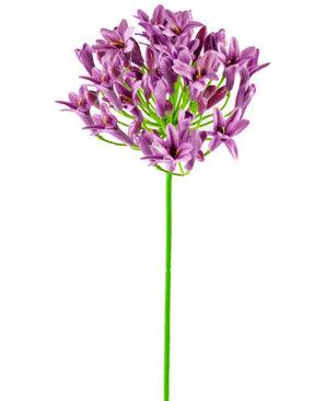 Künstliche Blume Agapanthus 75 cm lila