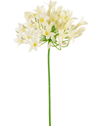 Künstliche Blume Agapanthus 75 cm weiß