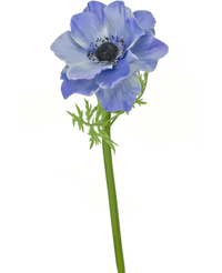 Künstliche Blume Anemone Deluxe 43 cm hellblau