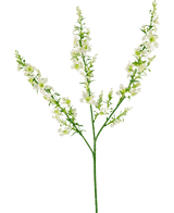 Künstliche Blume Catnip 75 cm weiß