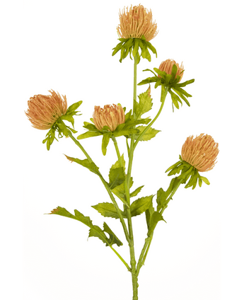 Künstliche Blume Distel 66 cm Pfirsich