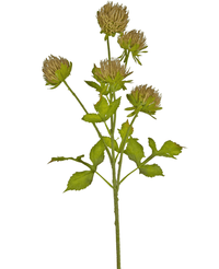 Künstliche Blume Distel 66 cm braun