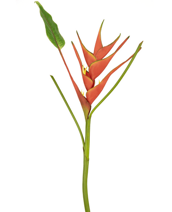 Künstliche Blume Heliconia 90 cm rot