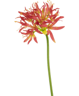 Künstliche Blume Nerine 70 cm fuchsie