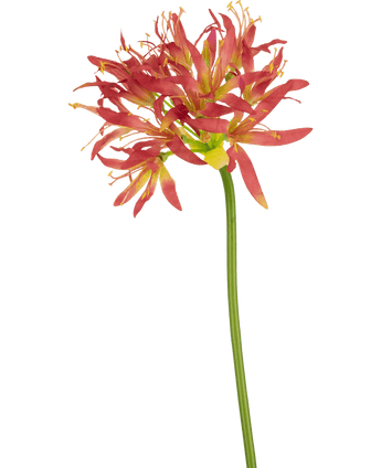 Künstliche Blume Nerine 70 cm fuchsie