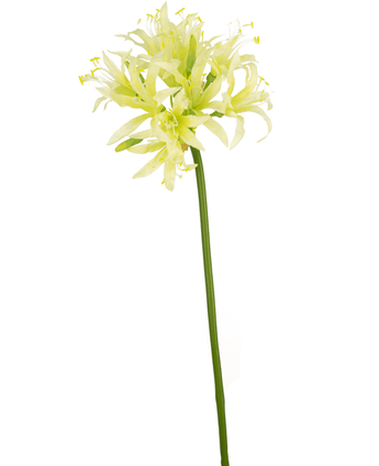 Künstliche Blume Nerine 70 cm grün