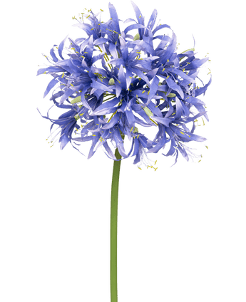 Künstliche Blume Nerine 70 cm lila