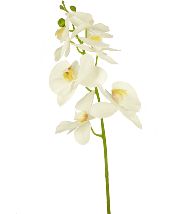 Künstliche Blume Orchidee 84 cm weiß