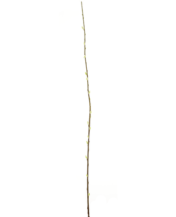 Künstliche Blume Salix weide 150 cm