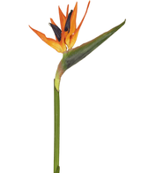 Künstliche Blume Strelitzia 80 cm rot/lila