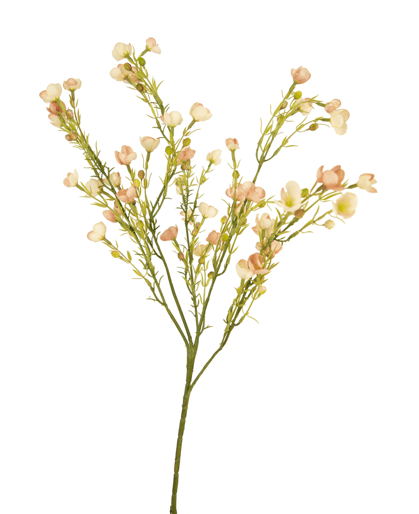 Künstliche Blume Waxflower 85 cm rosa