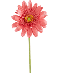 Künstliche Gerbera 53 cm rosa