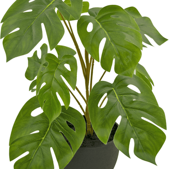 Künstliche Monstera 40 cm in dekorativem Topf schwarz