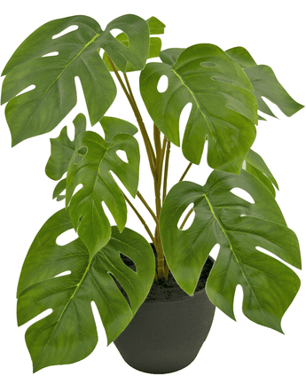 Künstliche Monstera 40 cm in dekorativem Topf schwarz