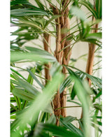 Künstliche Palme Dame 210 cm