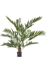 Künstliche Palme Parlour deluxe 120 cm