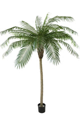 Künstliche Palme Phoenix De Luxe 210 cm