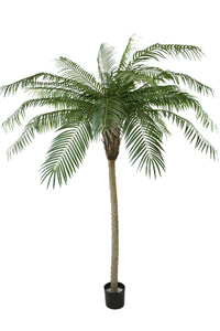 Künstliche Palme Phoenix De Luxe 210 cm