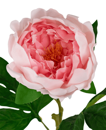 Künstliche Pfingstrose Real Touch Rosa 58cm