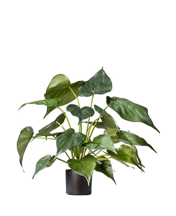 Künstliche Pflanze Alocasia 51 cm