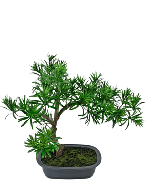 Künstliche Pflanze Bonsai Podocarpus 40 cm