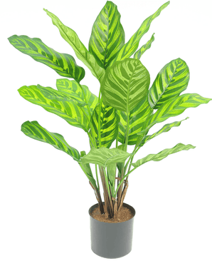 Künstliche Pflanze Calathea Makoyana 55 cm