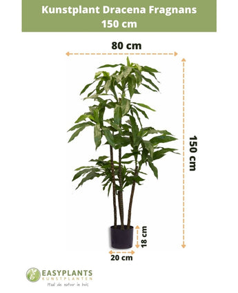 Künstliche Pflanze Dracena Fragnans 150 cm