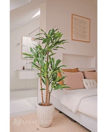 Künstliche Pflanze Dracena Fragnans 150 cm