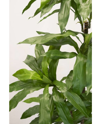 Künstliche Pflanze Dracena Fragnans 150 cm