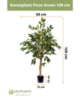 Künstliche Pflanze Ficus Grün 120 cm