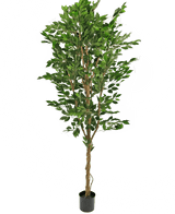 Künstliche Pflanze Ficus Grün 210 cm