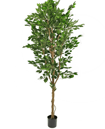 Künstliche Pflanze Ficus Grün 210 cm