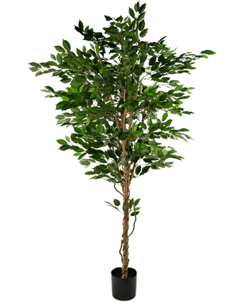 Künstliche Pflanze Ficus Grün 210 cm