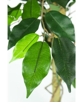 Künstliche Pflanze Ficus Grün 90 cm