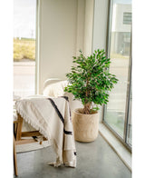 Künstliche Pflanze Ficus Liana 120 cm