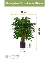 Künstliche Pflanze Ficus Liana 120 cm