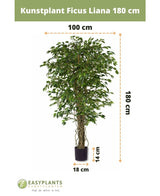 Künstliche Pflanze Ficus Liana 180 cm