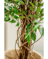 Künstliche Pflanze Ficus Liana 180 cm