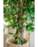 Künstliche Pflanze Ficus Tropical Liana 150 cm