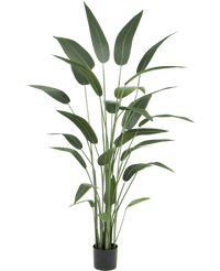 Künstliche Pflanze Heliconia 180 cm