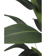 Künstliche Pflanze Heliconia 180 cm